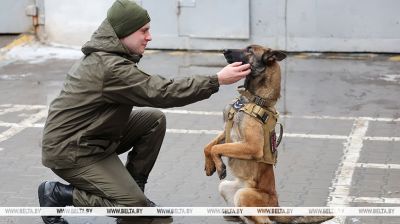 El Departamento de Seguridad de Bobrúisk tiene su criadero canino 