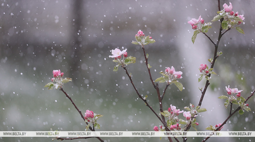 Aguanieve en Grodno y Brest