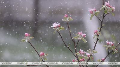 Aguanieve en Grodno y Brest