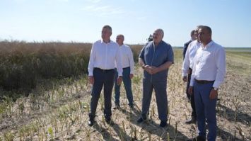 Lukashenko inspecciona los campos de la región de Minsk