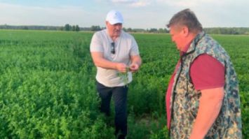 
 Lukashenko inspeccionó campos experimentales en su patria chica 
