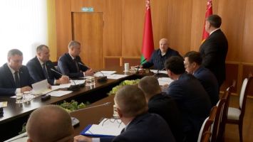 Lukashenko: Nuestra gente debe saber que hay suficientes patatas en Belarús